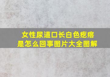 女性尿道口长白色疙瘩是怎么回事图片大全图解