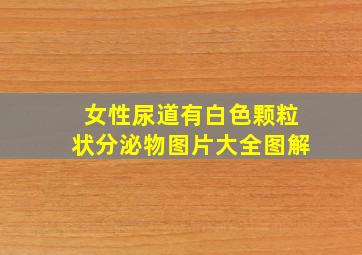 女性尿道有白色颗粒状分泌物图片大全图解