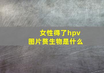 女性得了hpv图片赘生物是什么