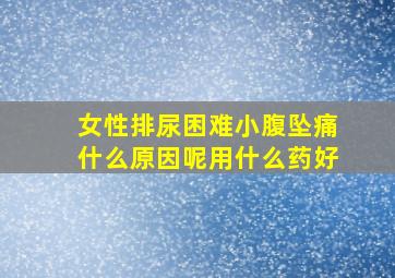 女性排尿困难小腹坠痛什么原因呢用什么药好