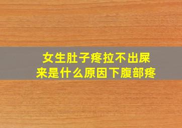 女生肚子疼拉不出屎来是什么原因下腹部疼