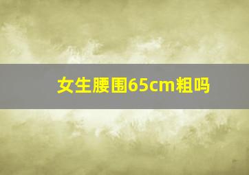 女生腰围65cm粗吗