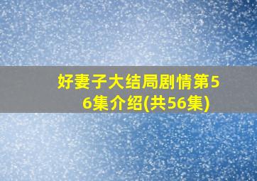 好妻子大结局剧情第56集介绍(共56集)