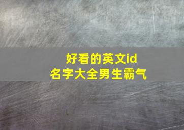 好看的英文id名字大全男生霸气