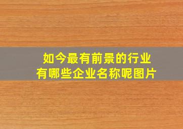 如今最有前景的行业有哪些企业名称呢图片