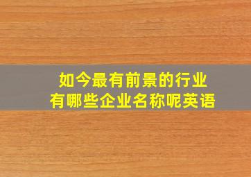 如今最有前景的行业有哪些企业名称呢英语