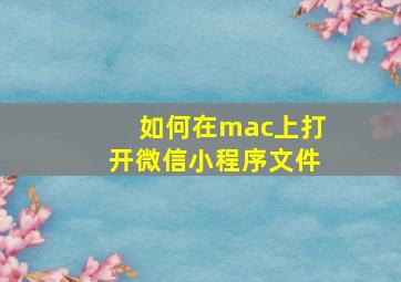 如何在mac上打开微信小程序文件