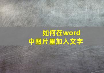 如何在word中图片里加入文字