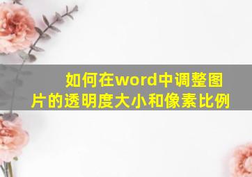 如何在word中调整图片的透明度大小和像素比例