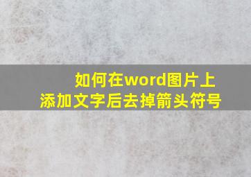 如何在word图片上添加文字后去掉箭头符号