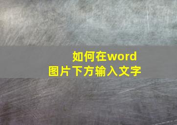 如何在word图片下方输入文字