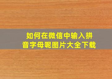 如何在微信中输入拼音字母呢图片大全下载