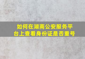 如何在湖南公安服务平台上查看身份证是否重号