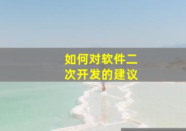 如何对软件二次开发的建议