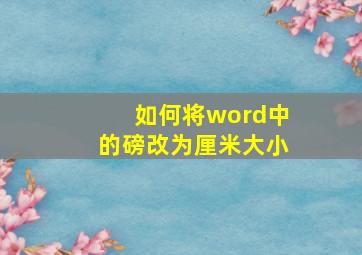 如何将word中的磅改为厘米大小