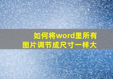 如何将word里所有图片调节成尺寸一样大