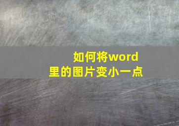 如何将word里的图片变小一点