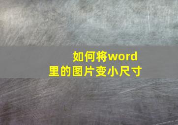 如何将word里的图片变小尺寸