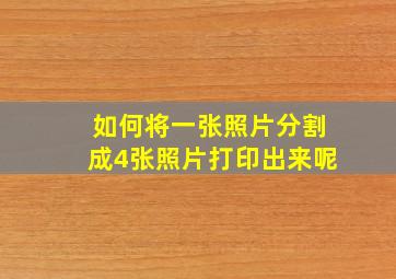 如何将一张照片分割成4张照片打印出来呢