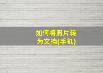 如何将照片转为文档(手机)