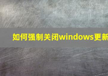 如何强制关闭windows更新