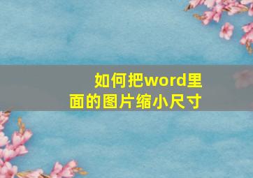 如何把word里面的图片缩小尺寸