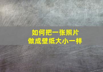 如何把一张照片做成壁纸大小一样