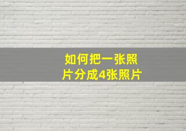 如何把一张照片分成4张照片