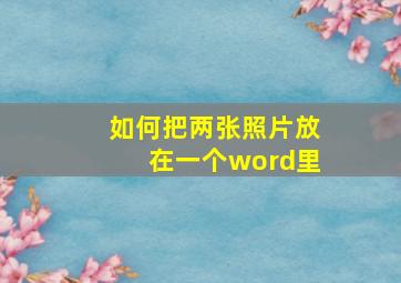 如何把两张照片放在一个word里