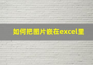 如何把图片嵌在excel里