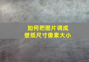 如何把图片调成壁纸尺寸像素大小