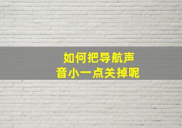 如何把导航声音小一点关掉呢