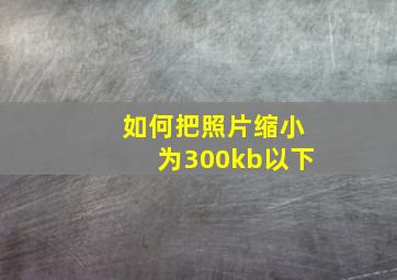 如何把照片缩小为300kb以下