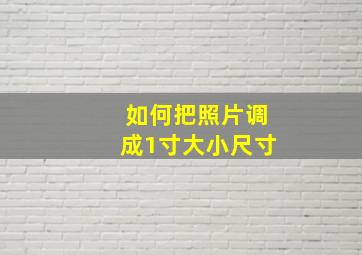 如何把照片调成1寸大小尺寸