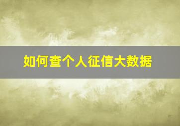 如何查个人征信大数据