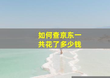 如何查京东一共花了多少钱