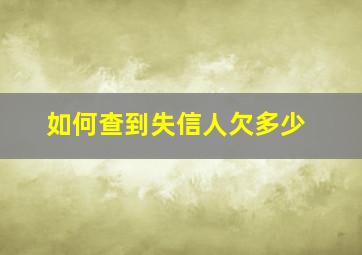 如何查到失信人欠多少