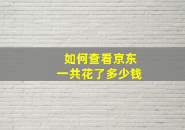 如何查看京东一共花了多少钱