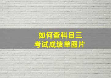 如何查科目三考试成绩单图片