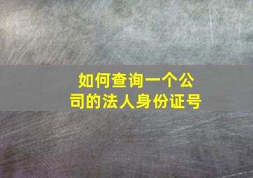 如何查询一个公司的法人身份证号