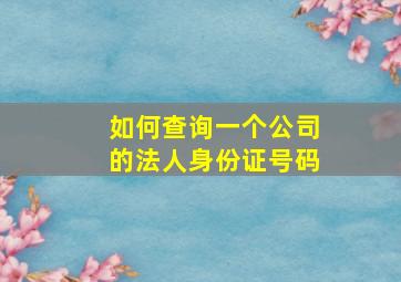 如何查询一个公司的法人身份证号码