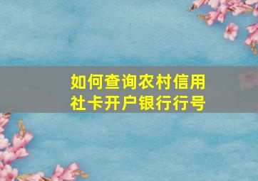 如何查询农村信用社卡开户银行行号