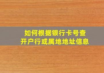 如何根据银行卡号查开户行或属地地址信息