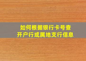 如何根据银行卡号查开户行或属地支行信息