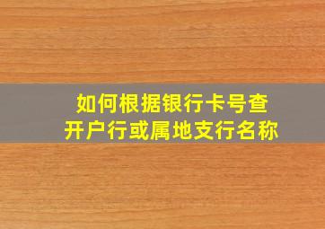 如何根据银行卡号查开户行或属地支行名称