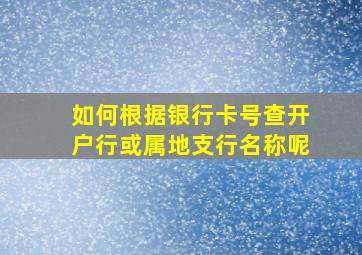 如何根据银行卡号查开户行或属地支行名称呢