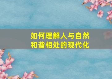 如何理解人与自然和谐相处的现代化