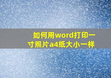 如何用word打印一寸照片a4纸大小一样