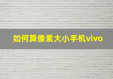 如何算像素大小手机vivo