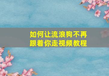 如何让流浪狗不再跟着你走视频教程